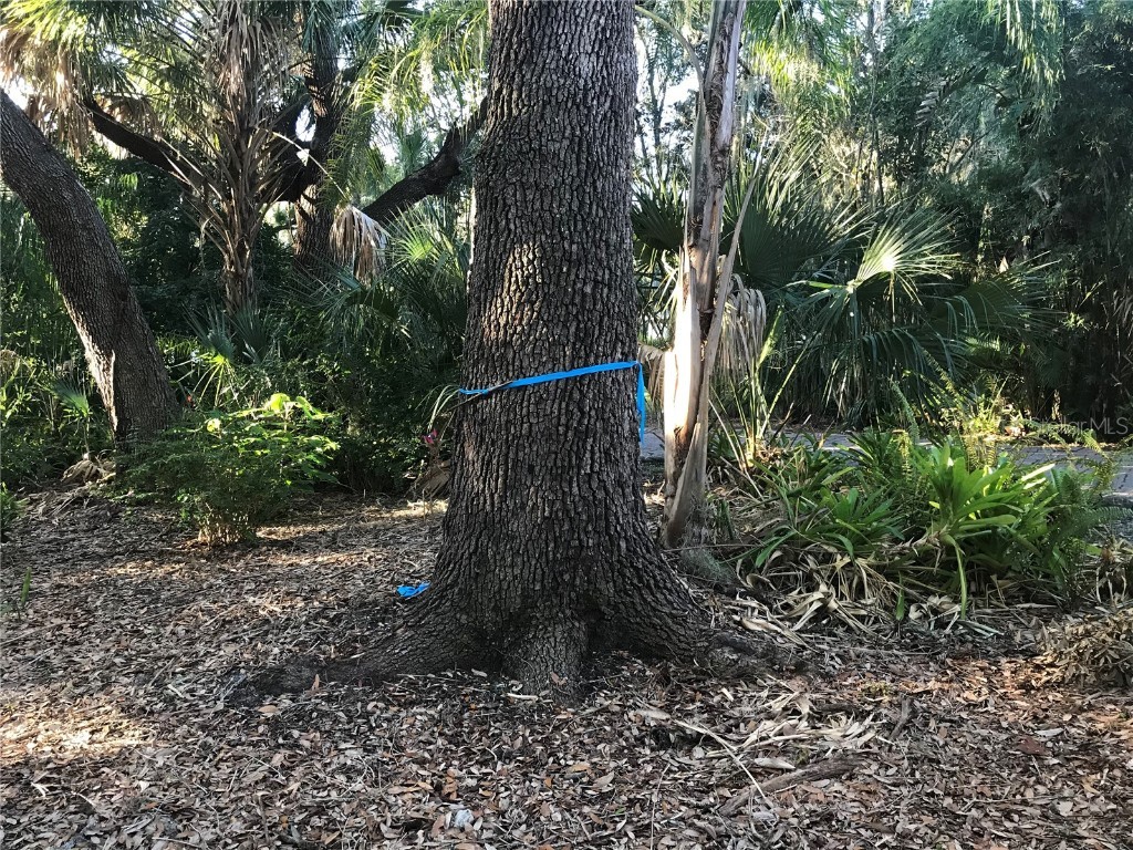 4407 S Shade Avenue Sarasota FL 34231 - PHILLIPPI CREEK A4672615 image8