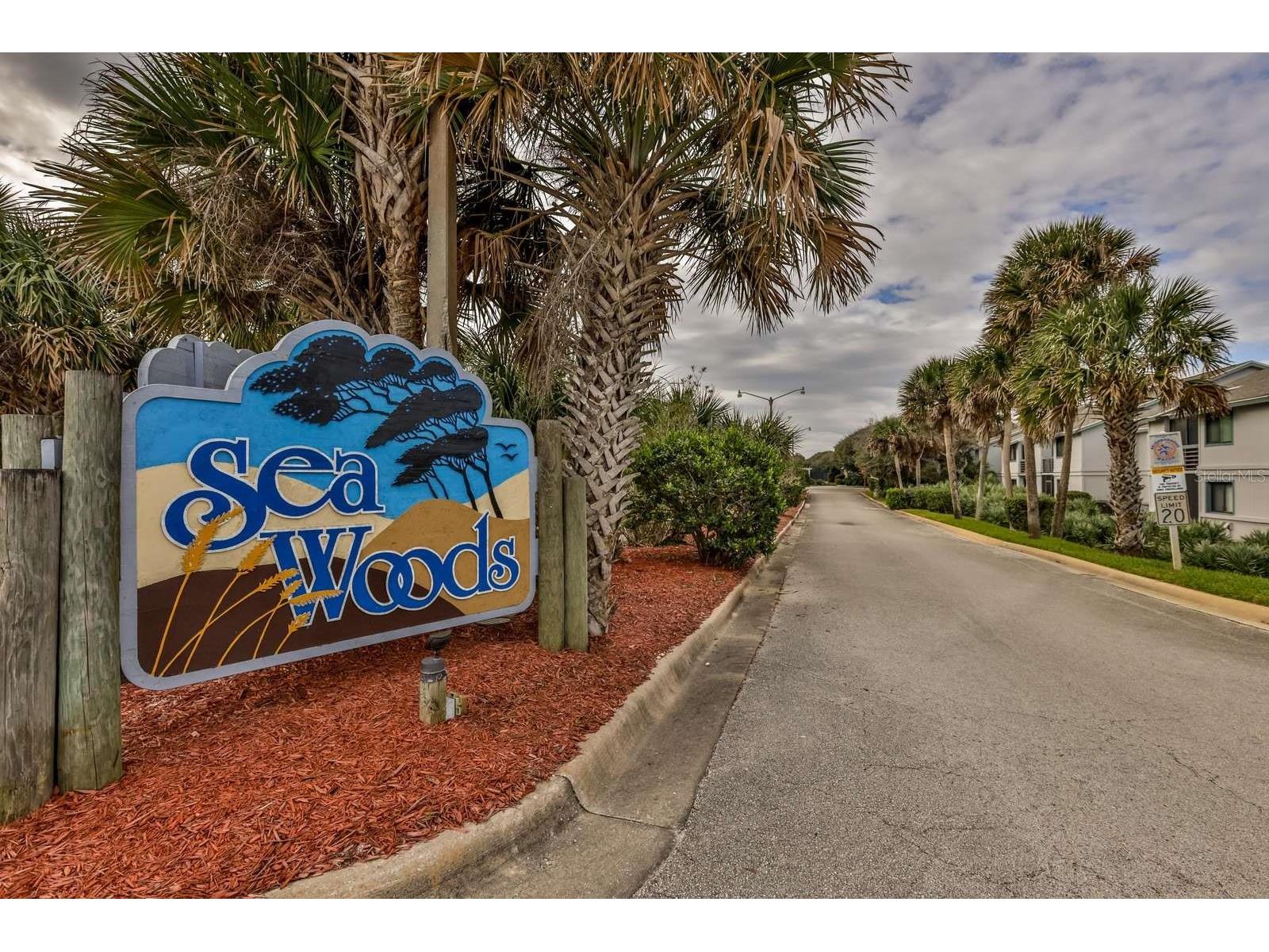 4407 Sea Mist Court #168 New Smyrna Beach FL 32169 NS1087529 image30
