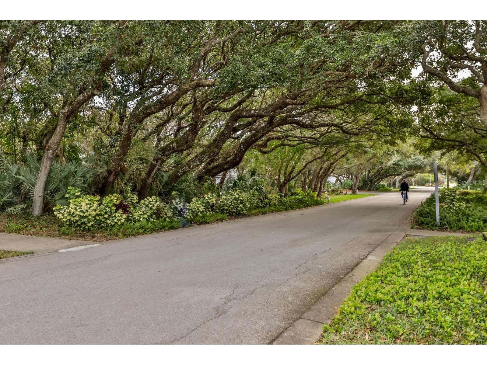 4407 Sea Mist Court #168 New Smyrna Beach FL 32169 NS1087529 image31