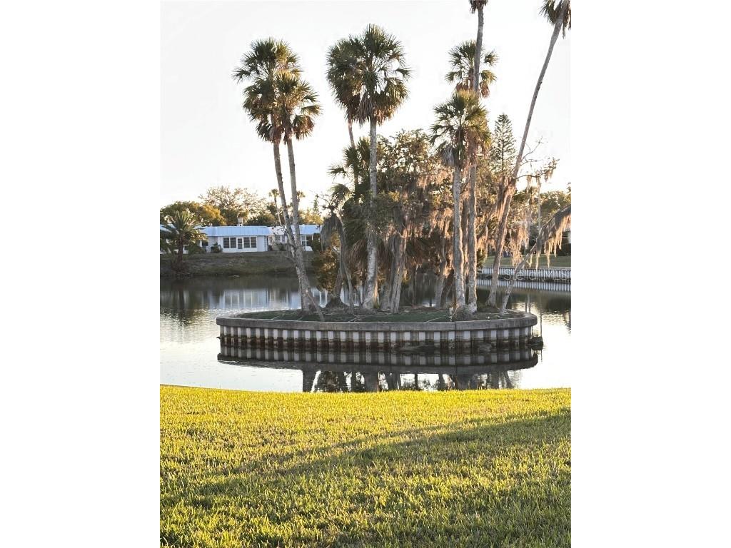 4407 Summersun Drive New Port Richey FL 34652 TB8459043 image31