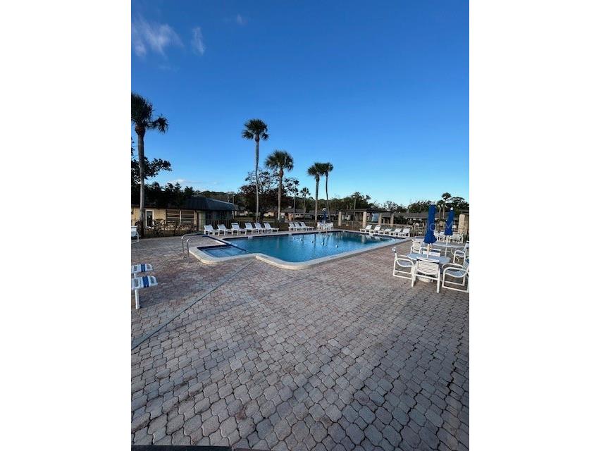 4407 Summersun Drive New Port Richey FL 34652 TB8459043 image32