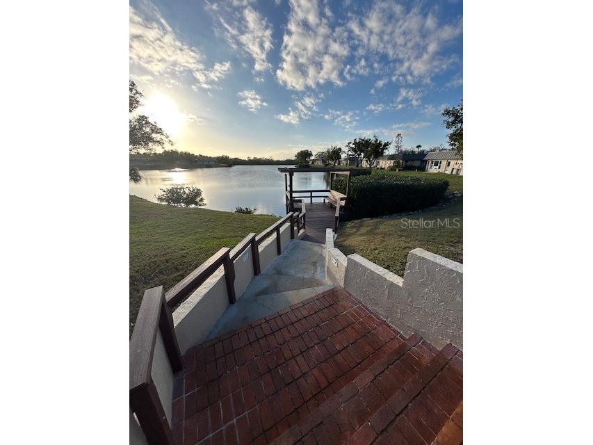 4407 Summersun Drive New Port Richey FL 34652 TB8459043 image34