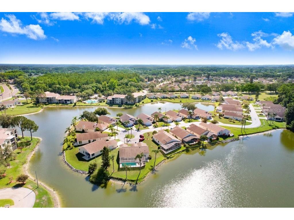 4407 Whitton Way New Port Richey FL 34653 TB8397147 image11