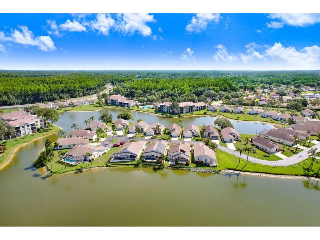 4407 Whitton Way New Port Richey FL 34653 TB8397147 image12