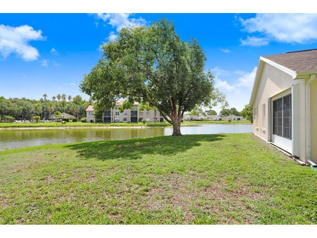 4407 Whitton Way New Port Richey FL 34653 TB8397147 image41