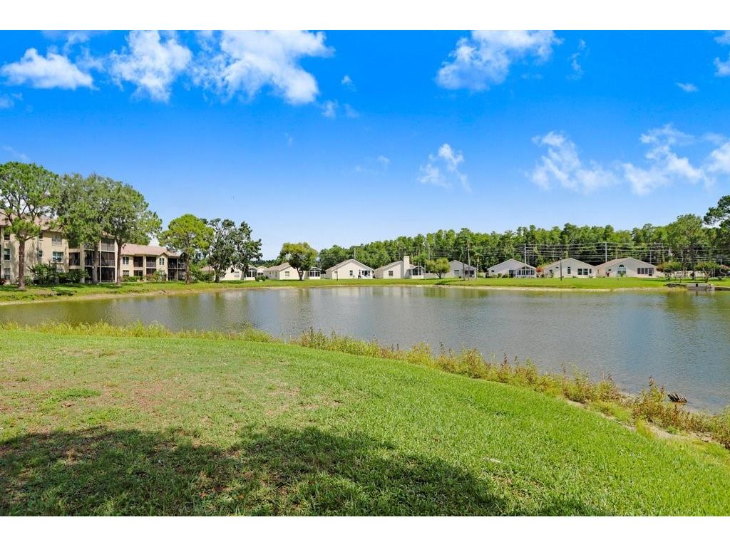 4407 Whitton Way New Port Richey FL 34653 TB8397147 image42
