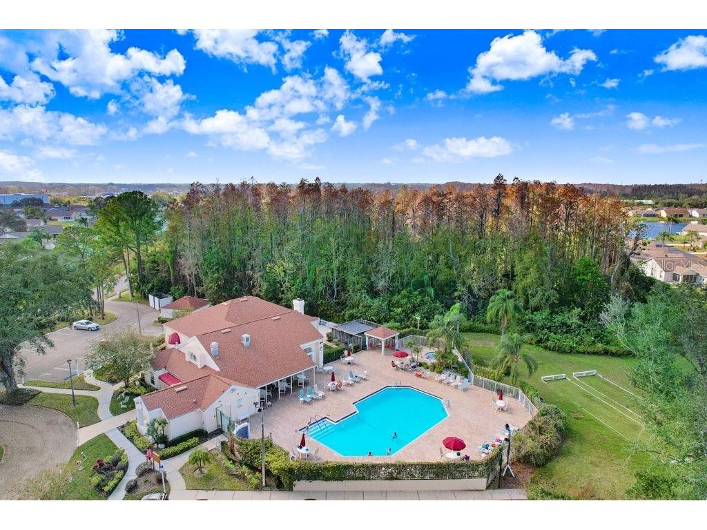 4407 Whitton Way New Port Richey FL 34653 TB8397147 image46