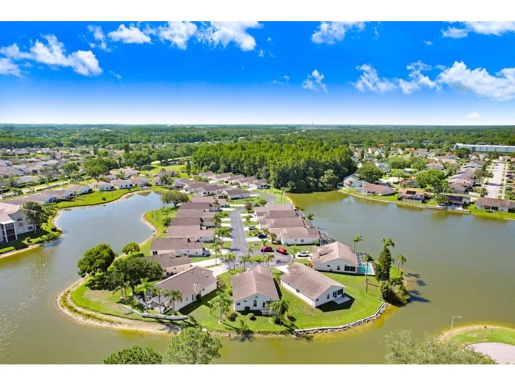 4407 Whitton Way New Port Richey FL 34653 TB8397147 image9