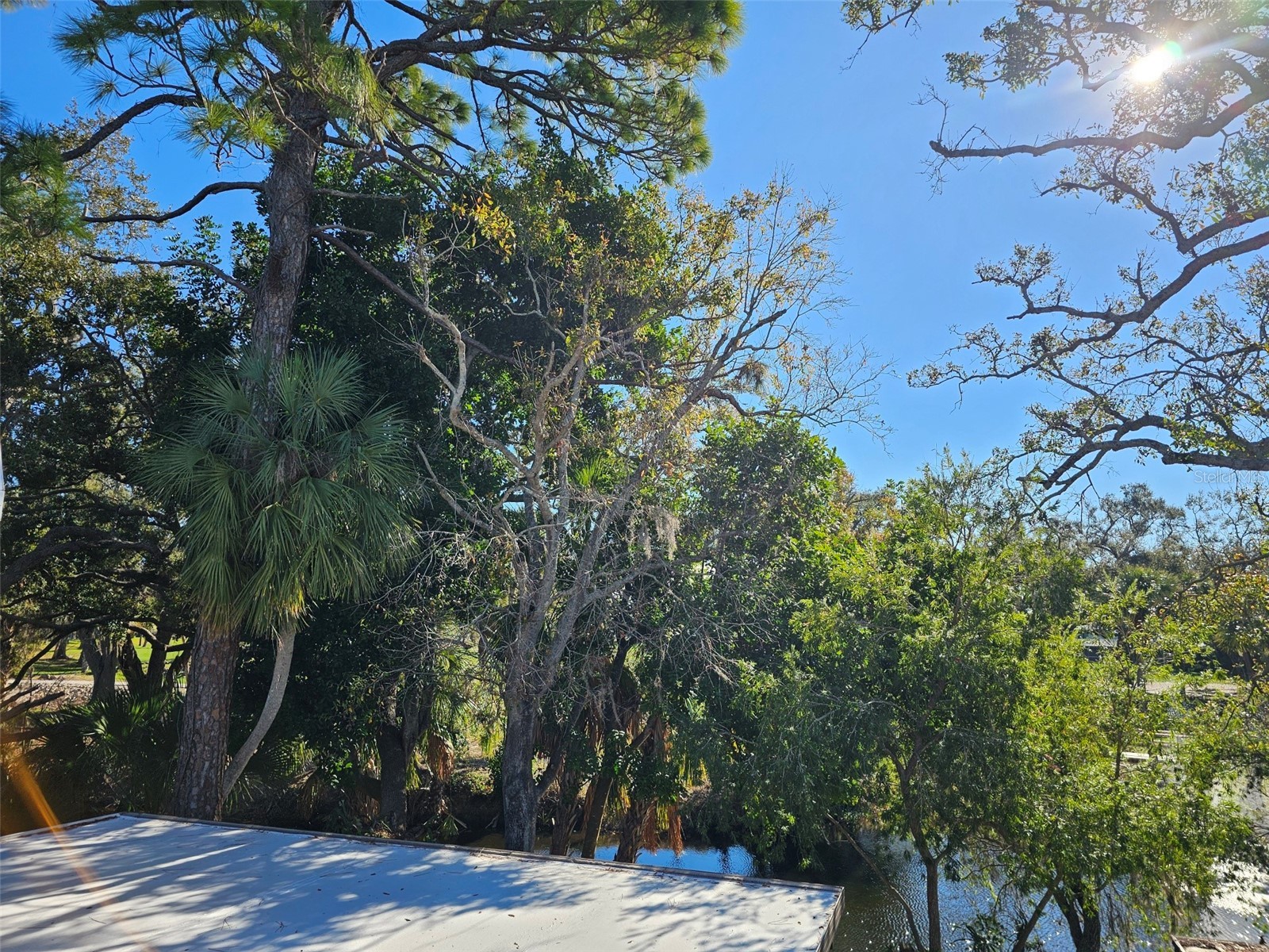 4408 La Jolla Drive #19A Bradenton FL 34210 A4679669 image44