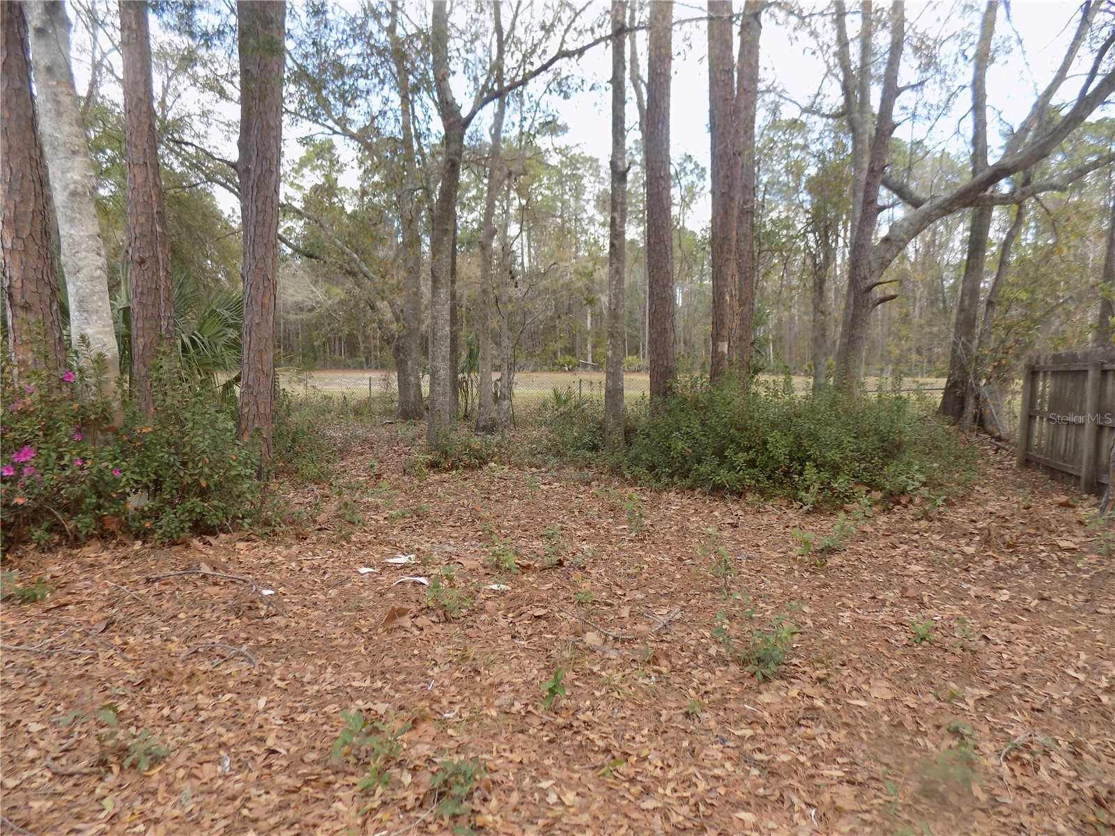 4408 NW 44 Place NW Gainesville FL 32606 GC537688 image38