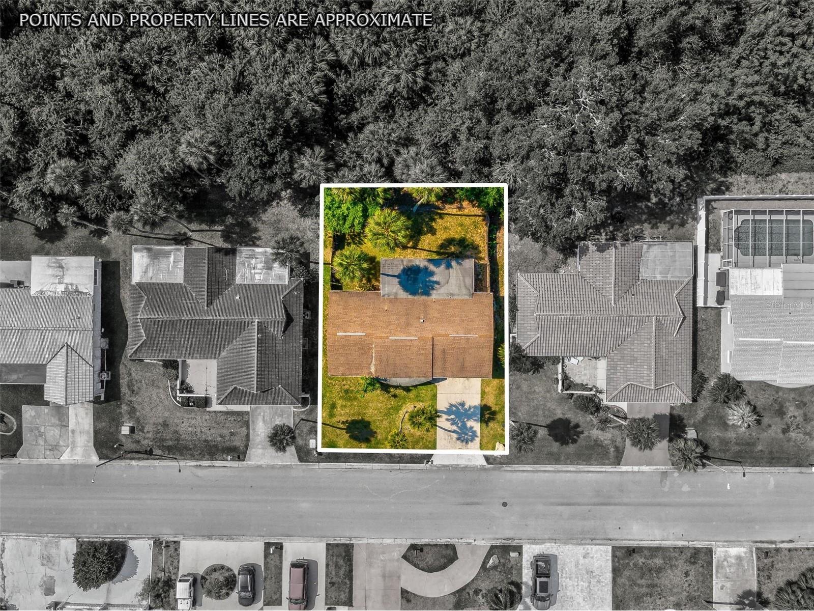 4408 Rudder Way New Port Richey FL 34652 TB8493493 image16
