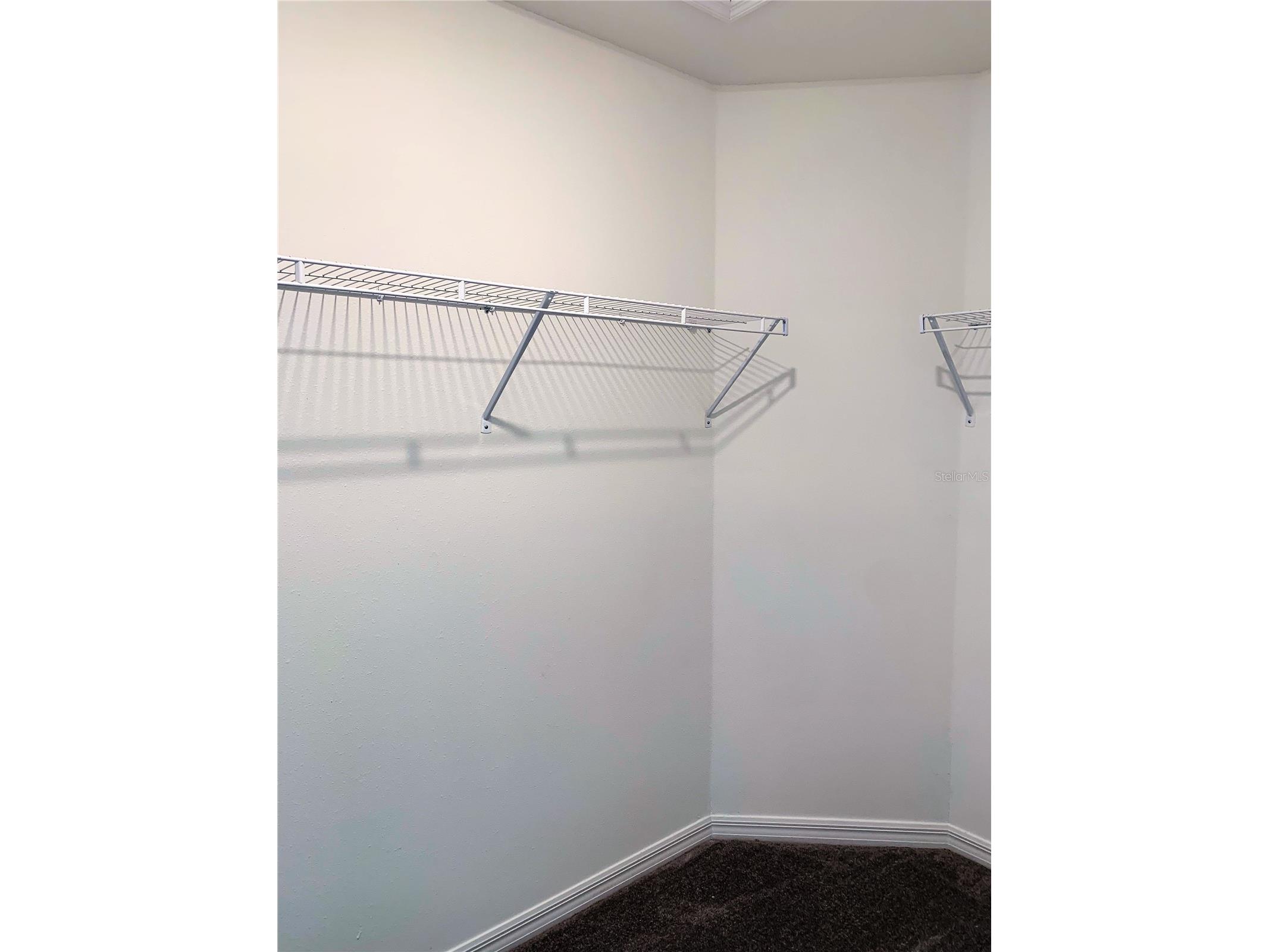 4408 Summer Savory Street Tampa FL 33619 TB8487518 image18