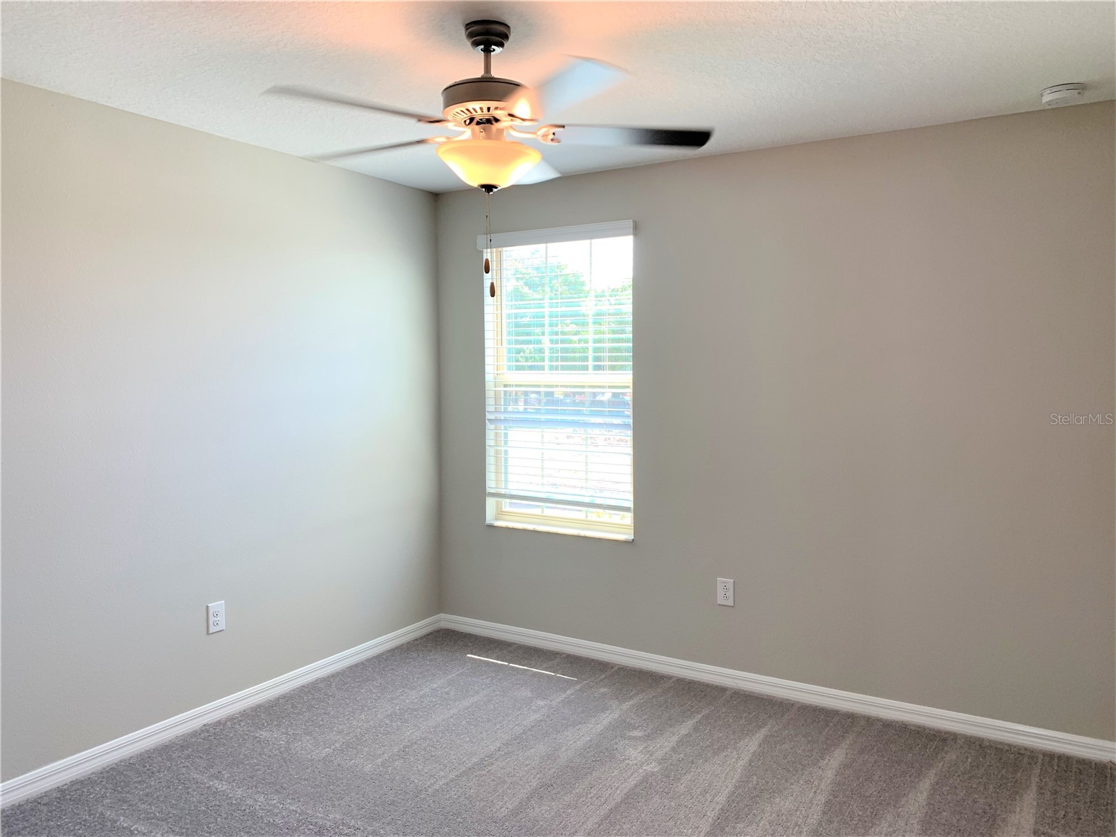 4408 Summer Savory Street Tampa FL 33619 TB8487518 image25