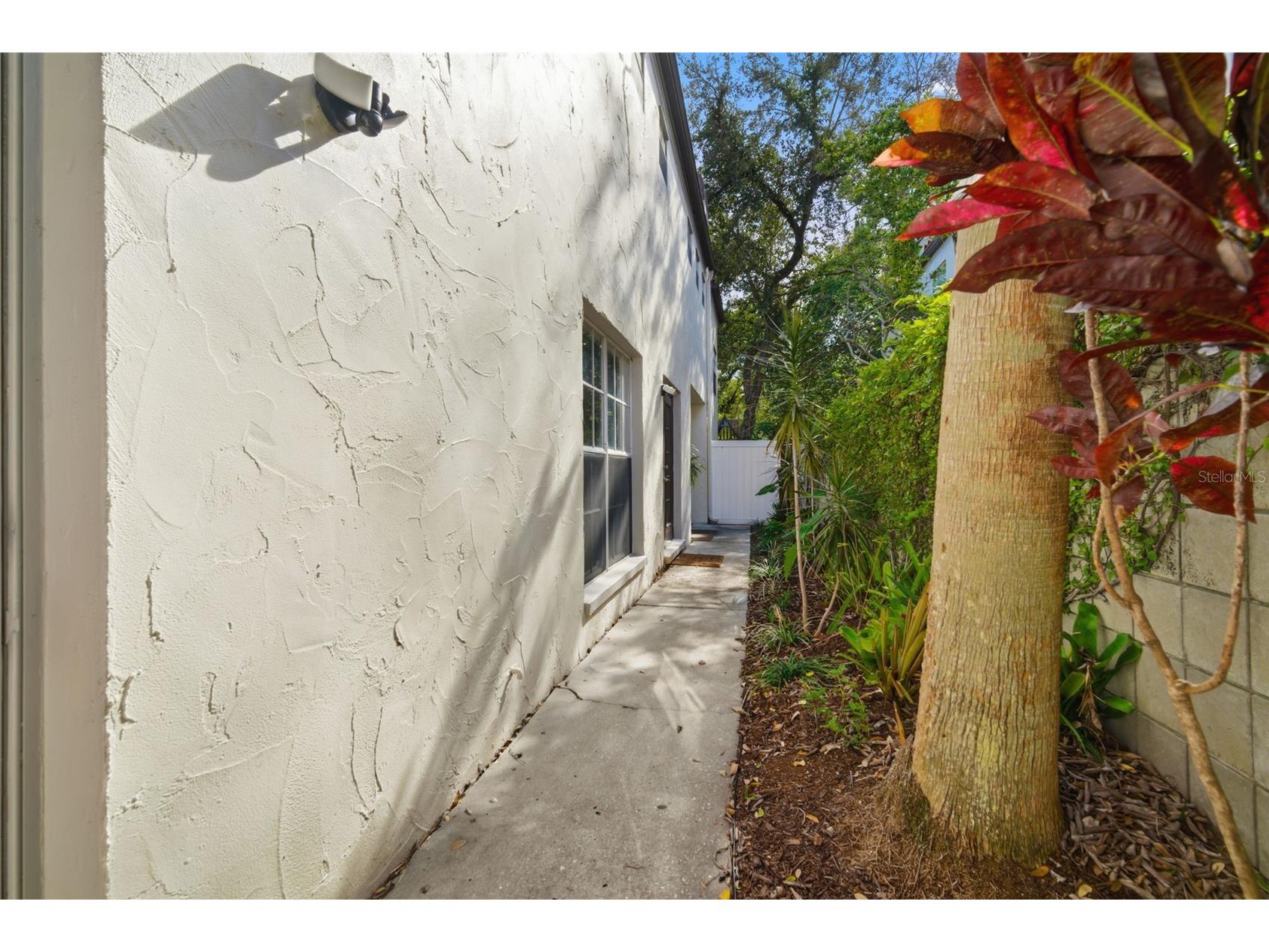 4408 W Bay To Bay Boulevard Tampa FL 33629 TB8468261 image3