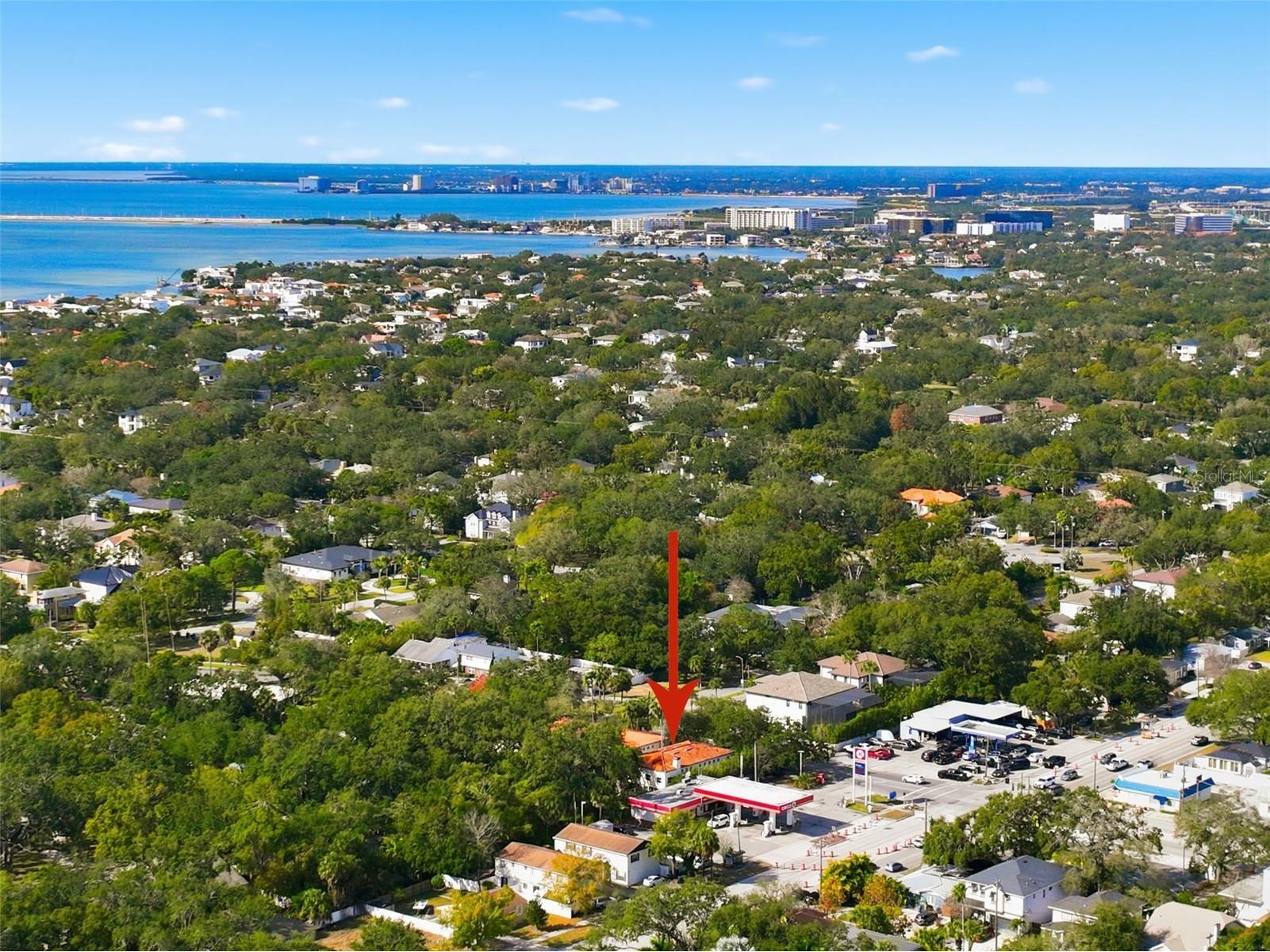 4408 W Bay To Bay Boulevard Tampa FL 33629 TB8468261 image80