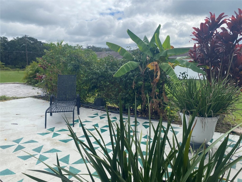 4409 Club Circle Lake Wales FL 33898 - LAKE WALK-IN-WATER P4936869 image10