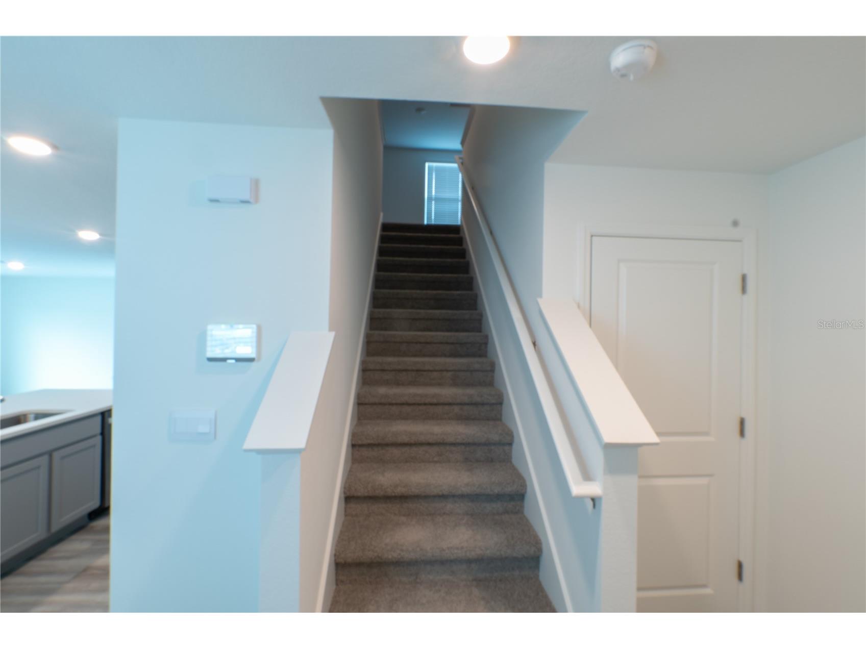 4409 Sand Dollar Way Zephyrhills FL 33541 TB8529562 image21