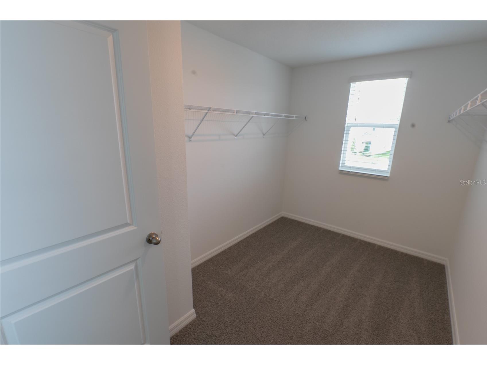 4409 Sand Dollar Way Zephyrhills FL 33541 TB8529562 image6