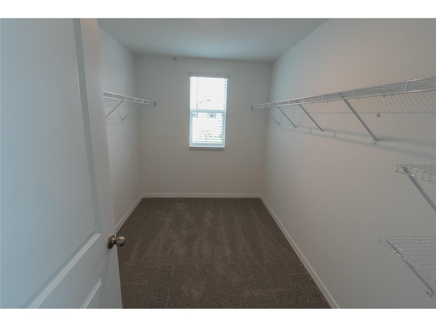 4409 Sand Dollar Way Zephyrhills FL 33541 TB8529562 image7