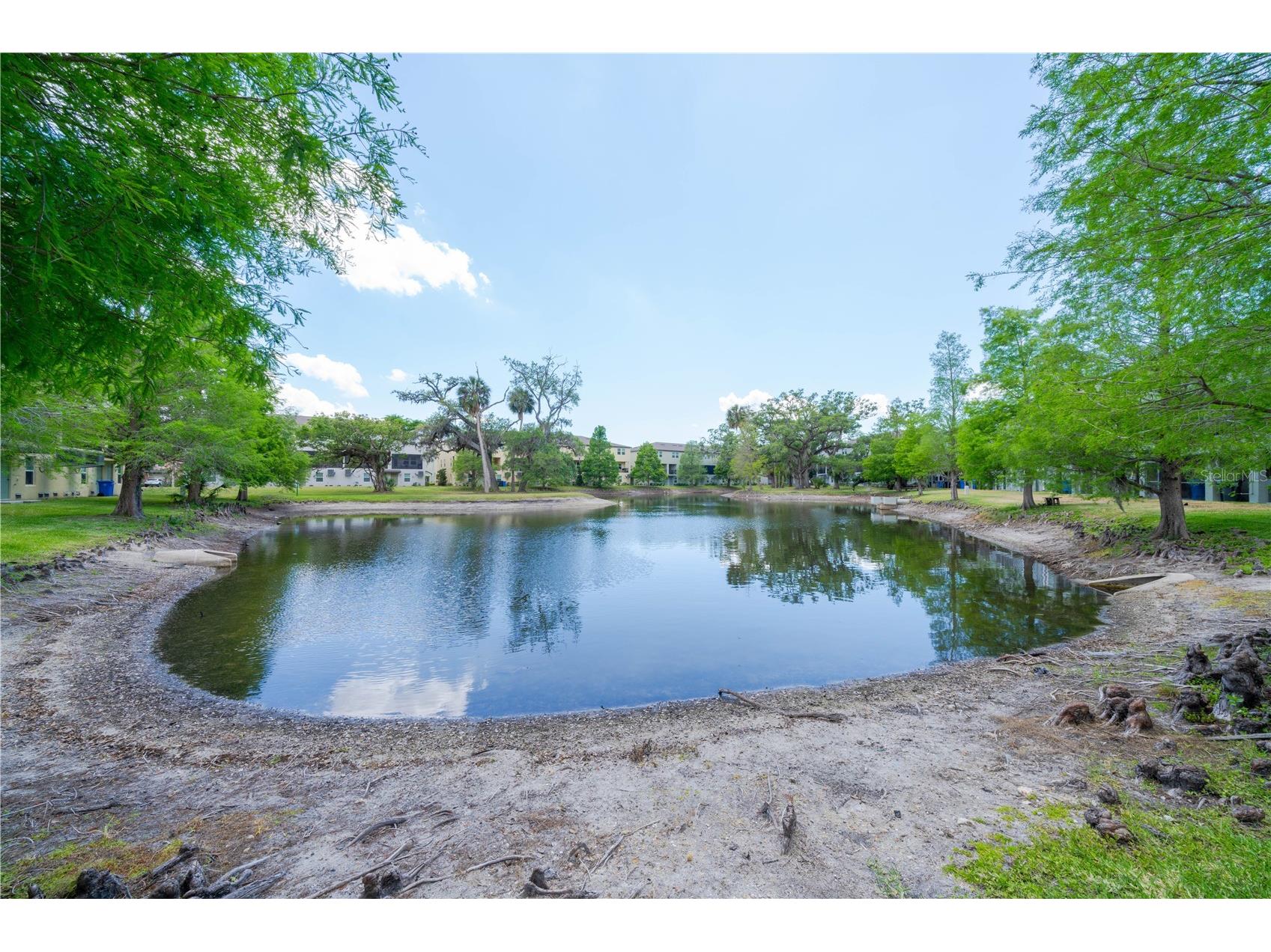 4409 Tuscan Loon Drive Tampa FL 33619 TB8502167 image25