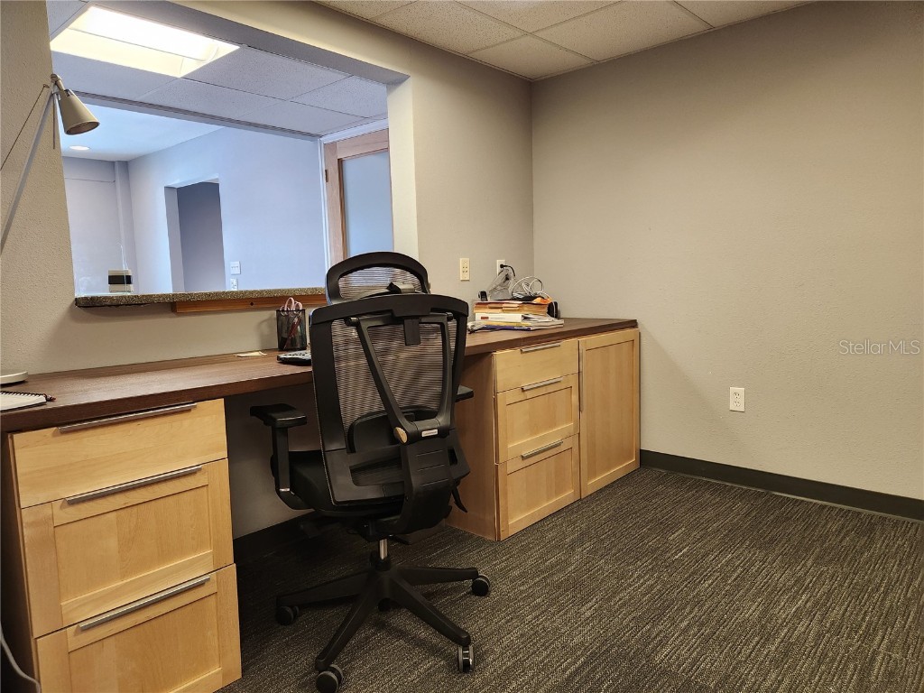 4409 W El Prado Boulevard Tampa FL 33629 TB8381184 image12