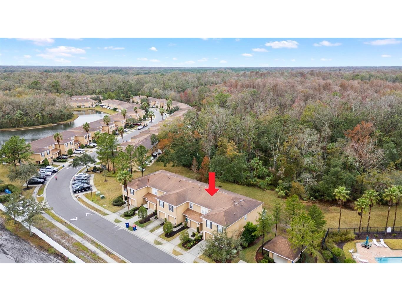 4409 Winding River Way Land O Lakes FL 34639 TB8341777 image1