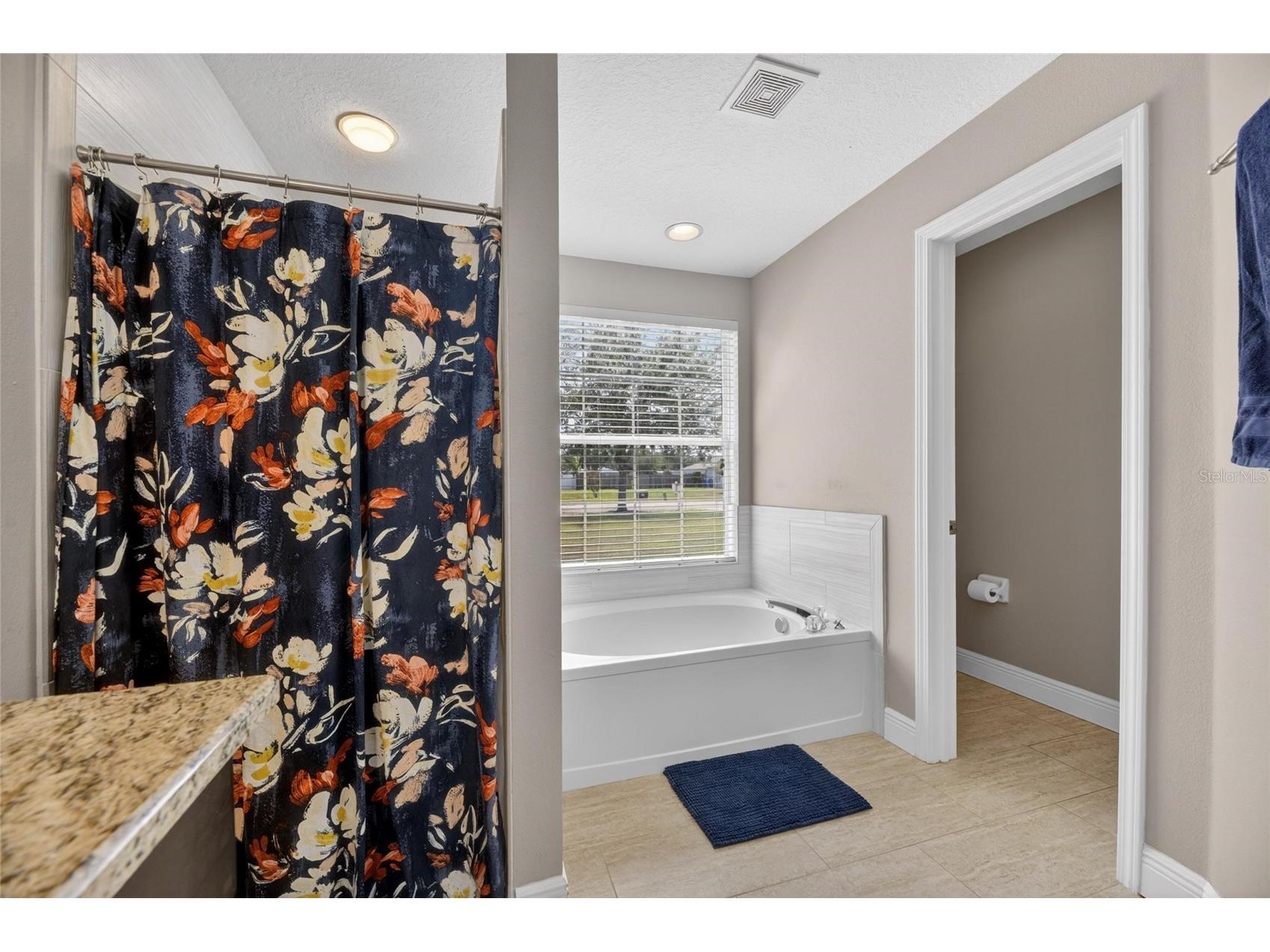 4409 Windmill Pointe Drive Plant City FL 33567 TB8504115 image33