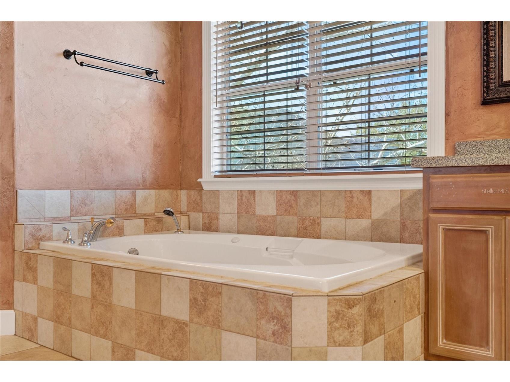 441 Courtlea Oaks Boulevard Winter Garden FL 34787 O6385964 image34