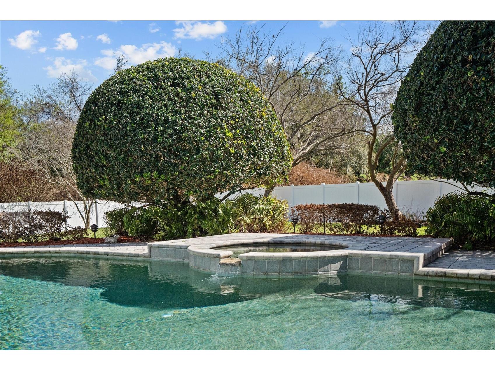 441 Courtlea Oaks Boulevard Winter Garden FL 34787 O6385964 image52