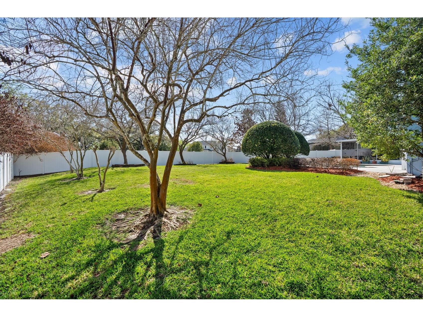 441 Courtlea Oaks Boulevard Winter Garden FL 34787 O6385964 image56