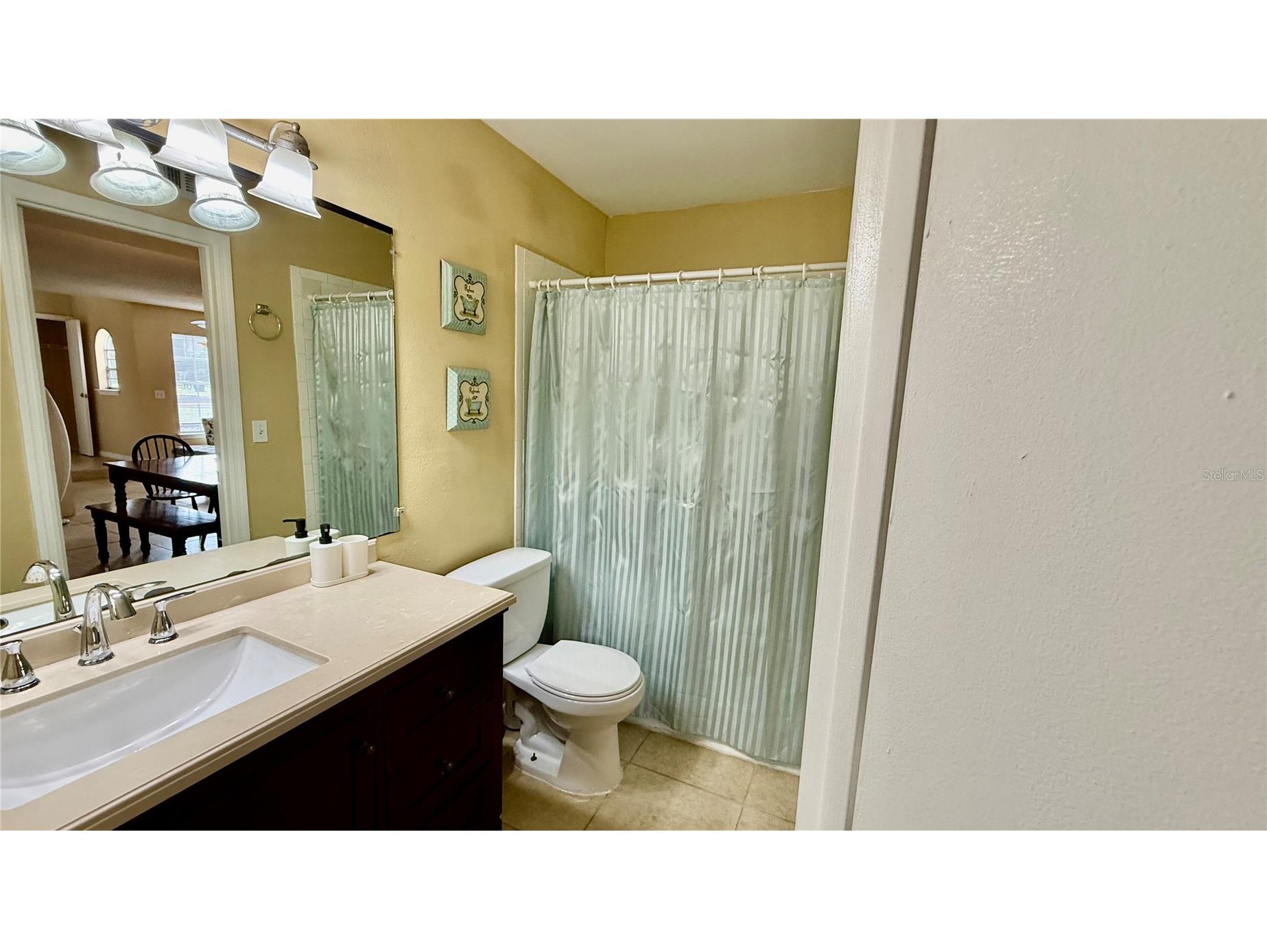 441 Fountainhead Circle #170 Kissimmee FL 34741 S5144875 image13