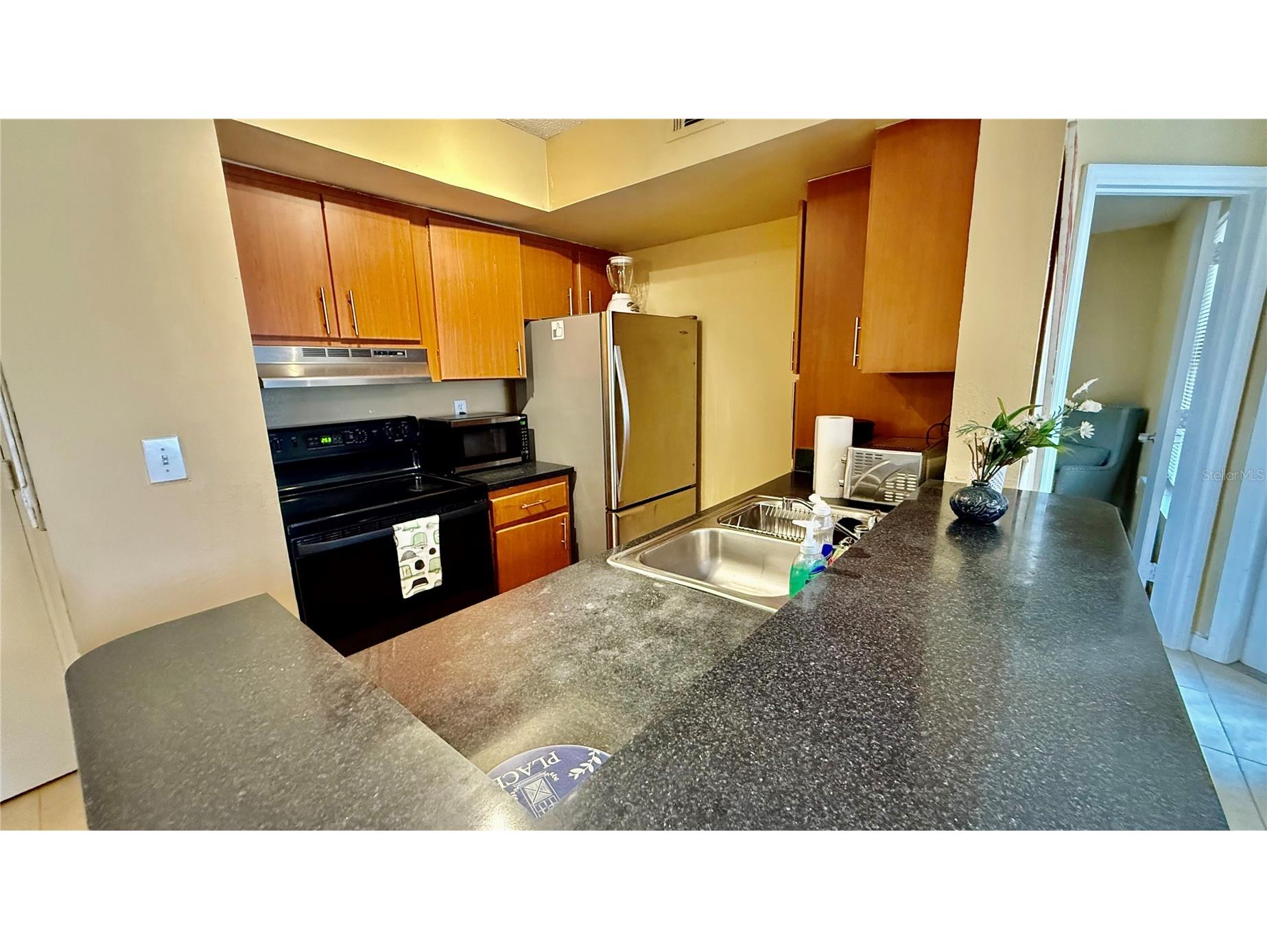 441 Fountainhead Circle #170 Kissimmee FL 34741 S5144875 image7
