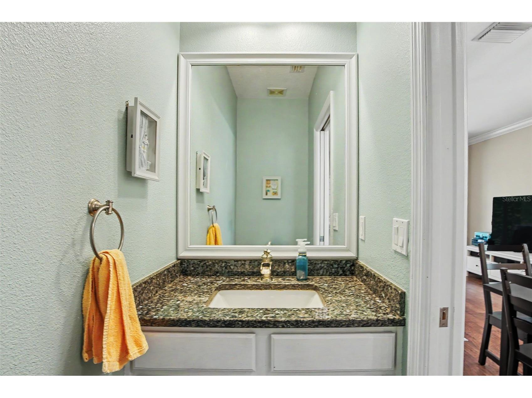 441 Harbor Ridge Drive Palm Harbor FL 34683 TB8508907 image20