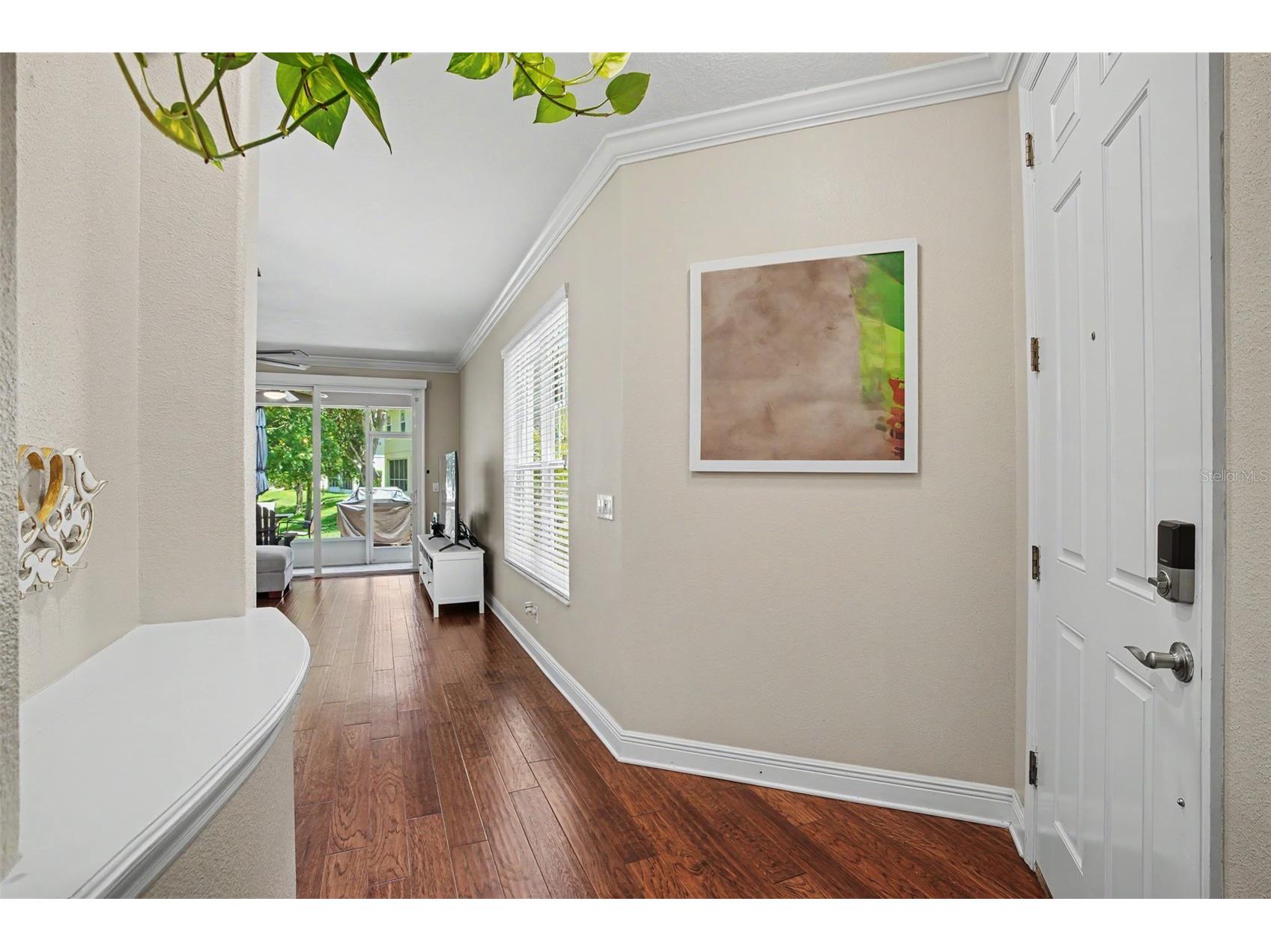 441 Harbor Ridge Drive Palm Harbor FL 34683 TB8508907 image24