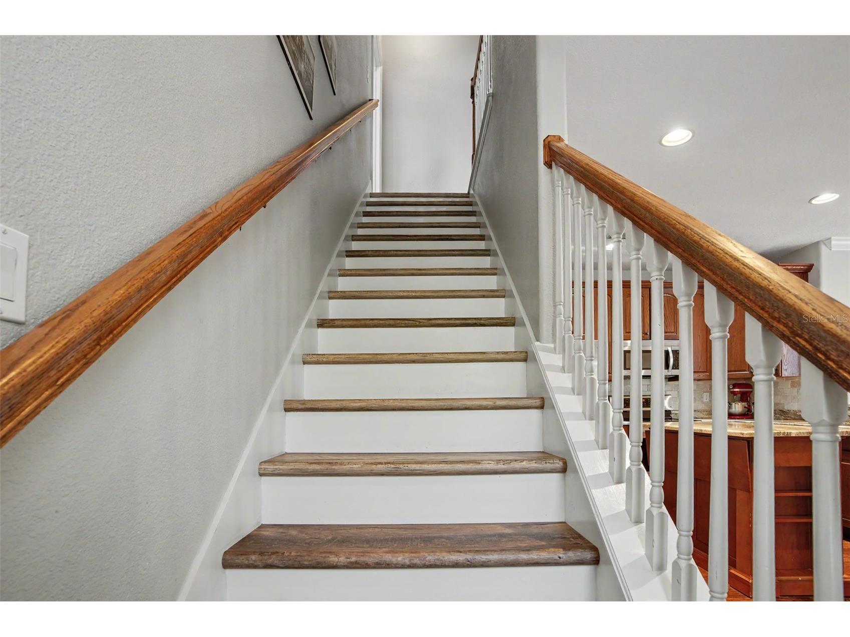 441 Harbor Ridge Drive Palm Harbor FL 34683 TB8508907 image26