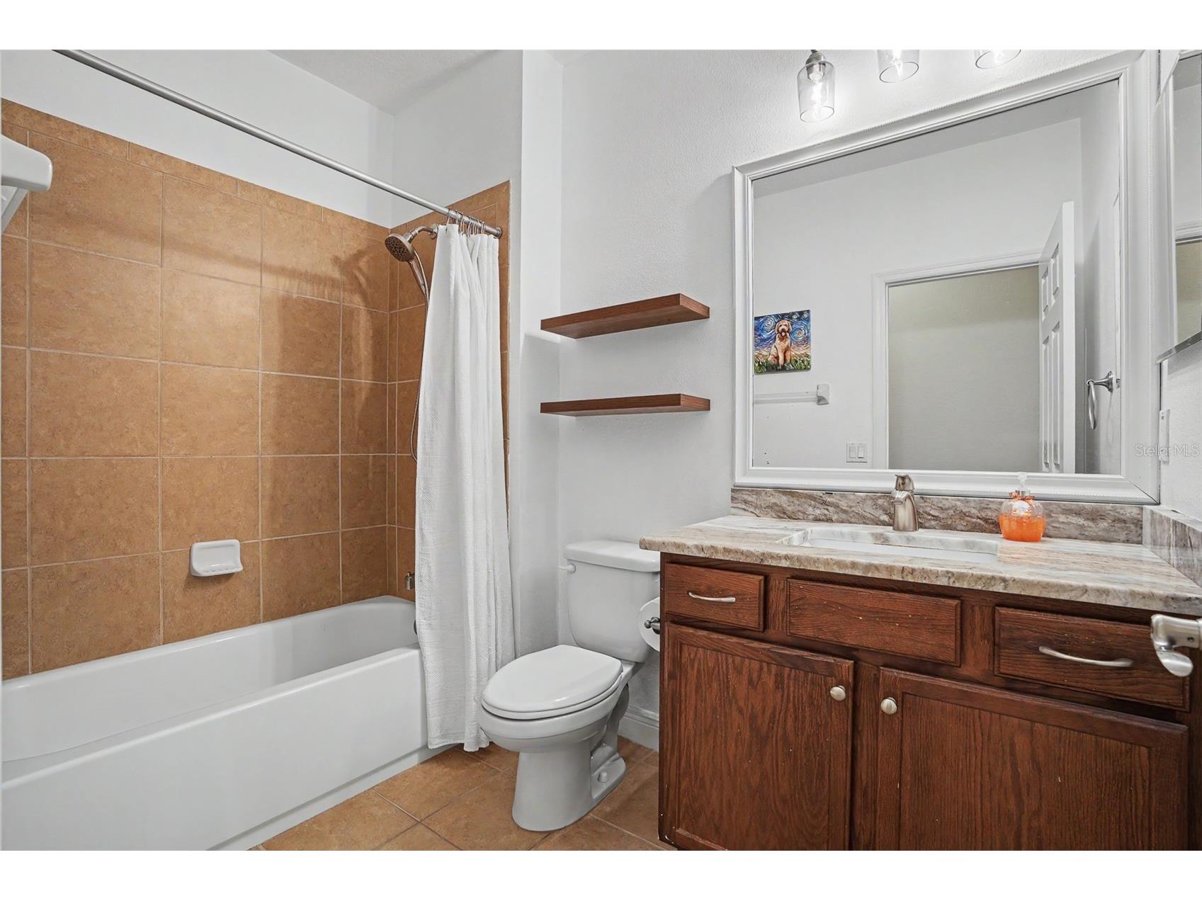 441 Harbor Ridge Drive Palm Harbor FL 34683 TB8508907 image29