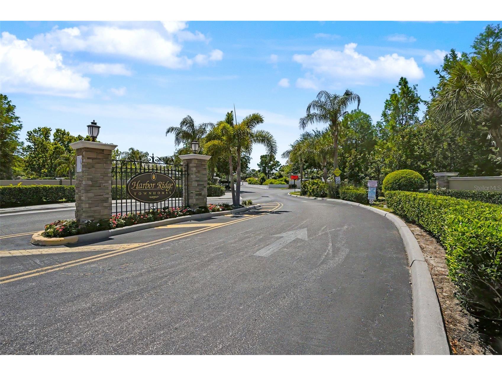441 Harbor Ridge Drive Palm Harbor FL 34683 TB8508907 image4