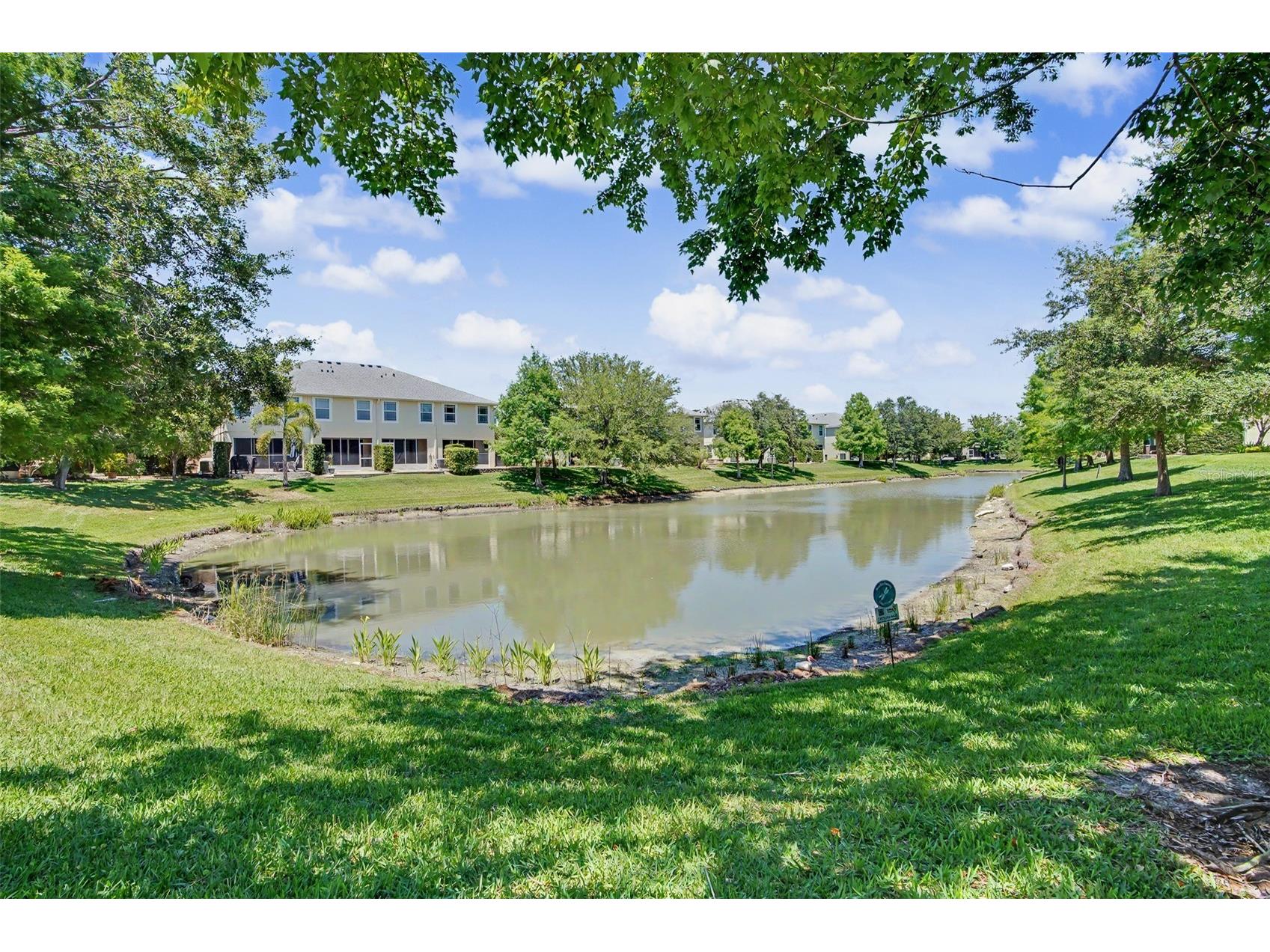 441 Harbor Ridge Drive Palm Harbor FL 34683 TB8508907 image42