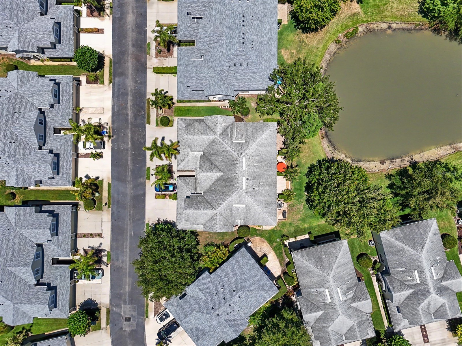 441 Harbor Ridge Drive Palm Harbor FL 34683 TB8508907 image47
