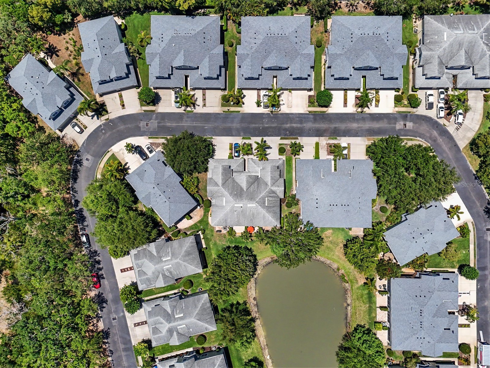 441 Harbor Ridge Drive Palm Harbor FL 34683 TB8508907 image48
