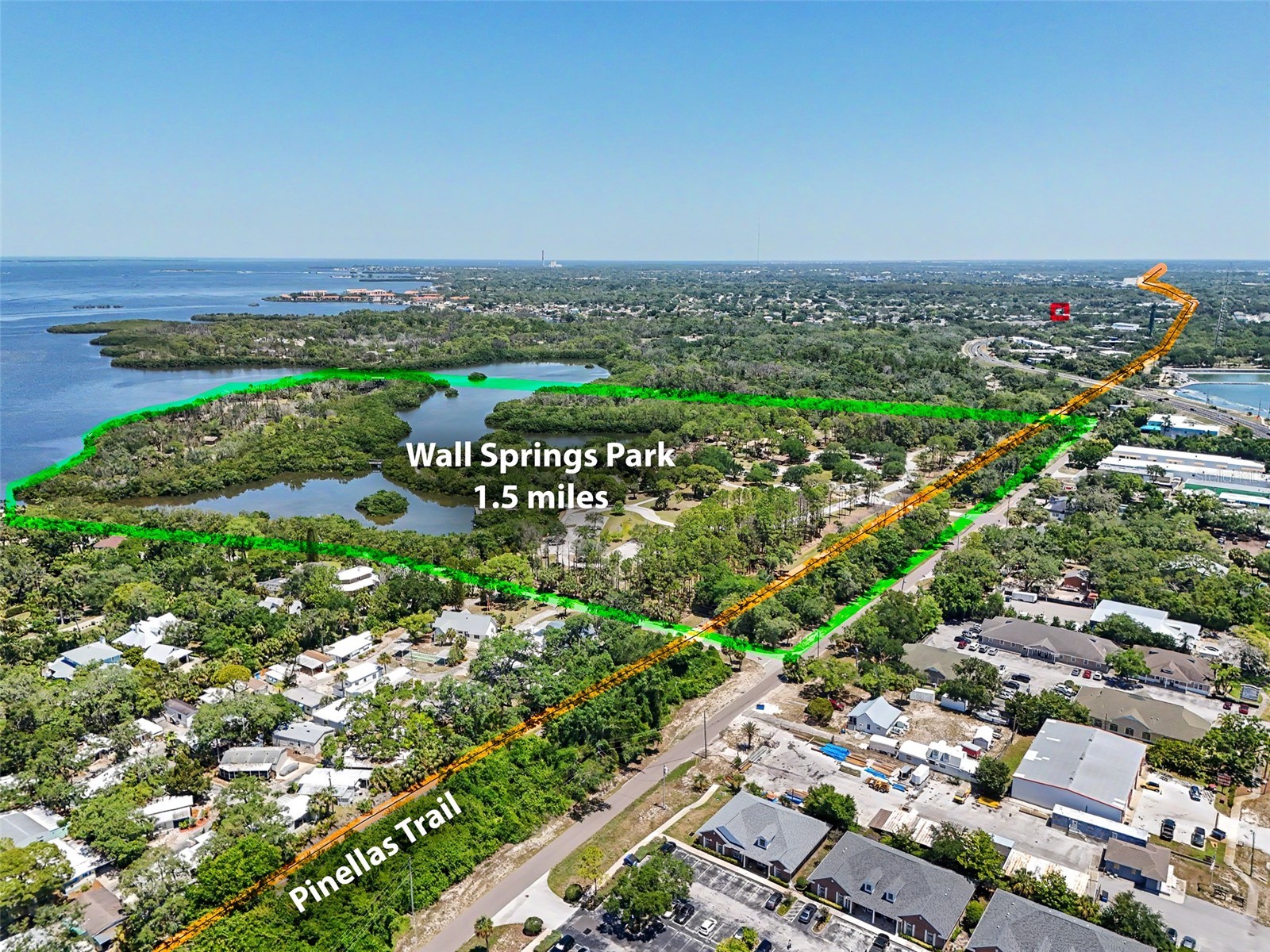 441 Harbor Ridge Drive Palm Harbor FL 34683 TB8508907 image49
