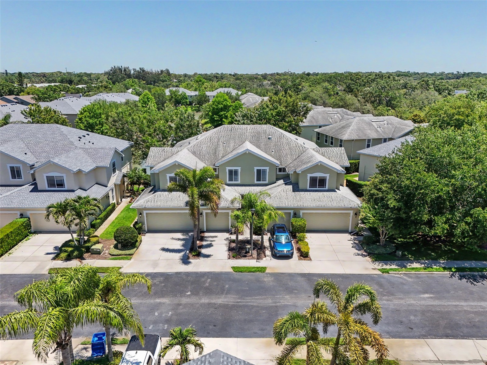 441 Harbor Ridge Drive Palm Harbor FL 34683 TB8508907 image5