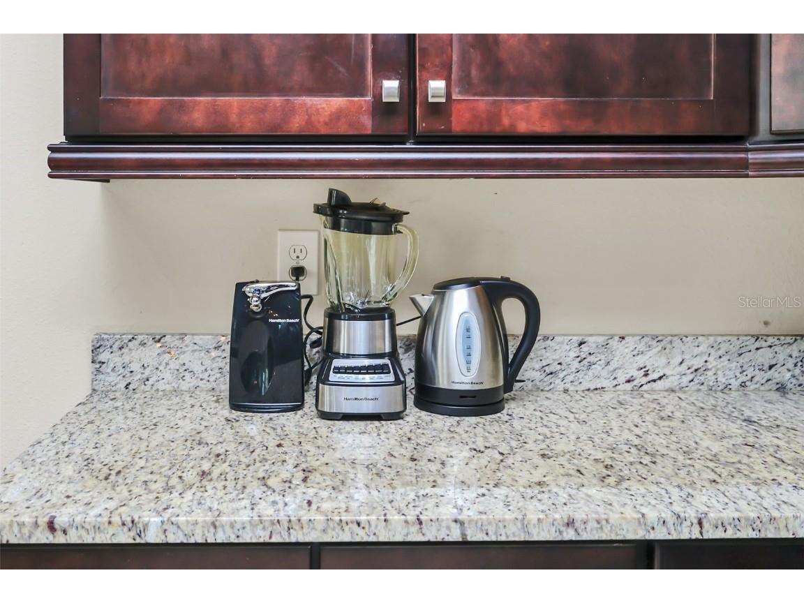 441 Lasso Drive Kissimmee FL 34747 O6341809 image28