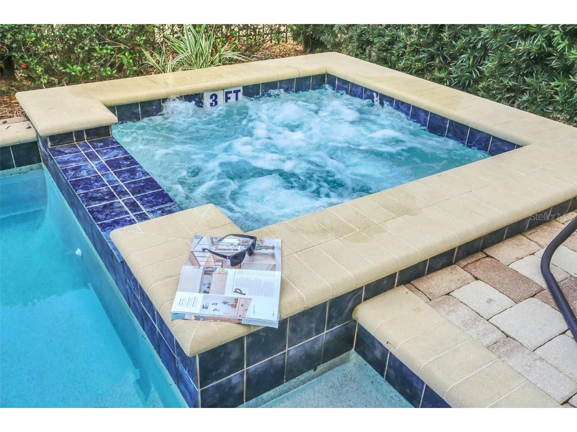 441 Lasso Drive Kissimmee FL 34747 O6341809 image70