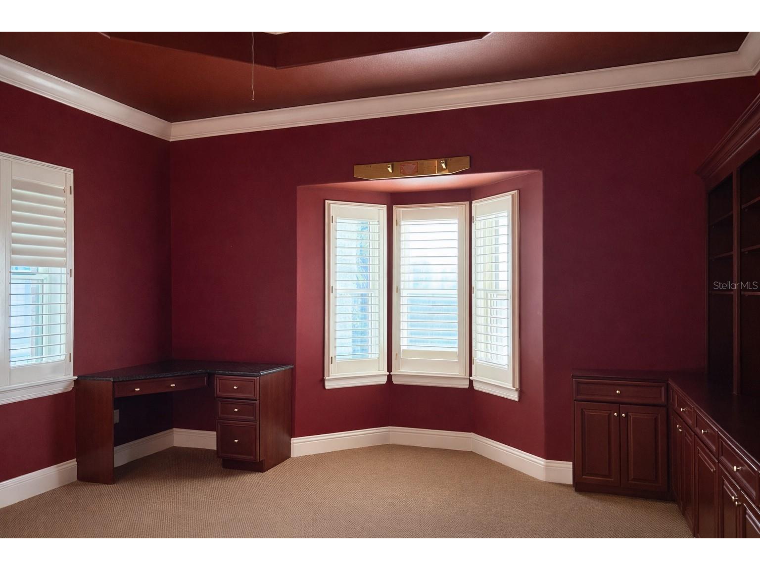 441 Lucerne Avenue Tampa FL 33606 TB8496743 image39