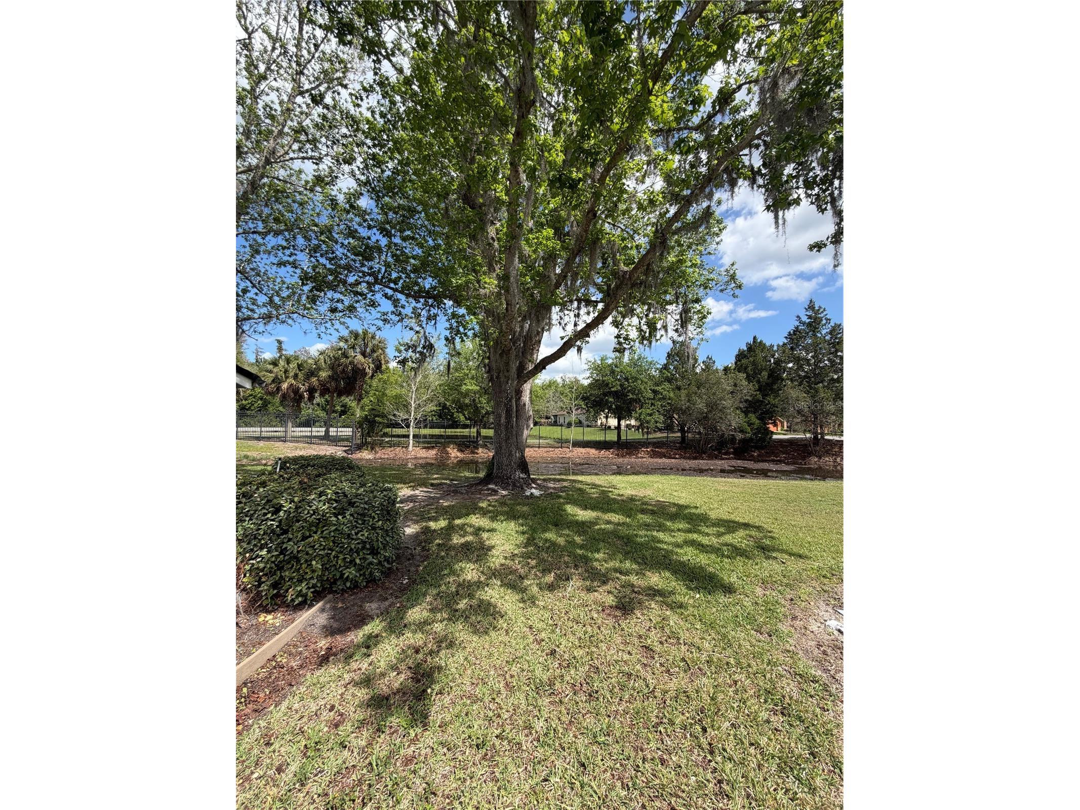 441 Prestwick Place Kissimmee FL 34759 O6396306 image20