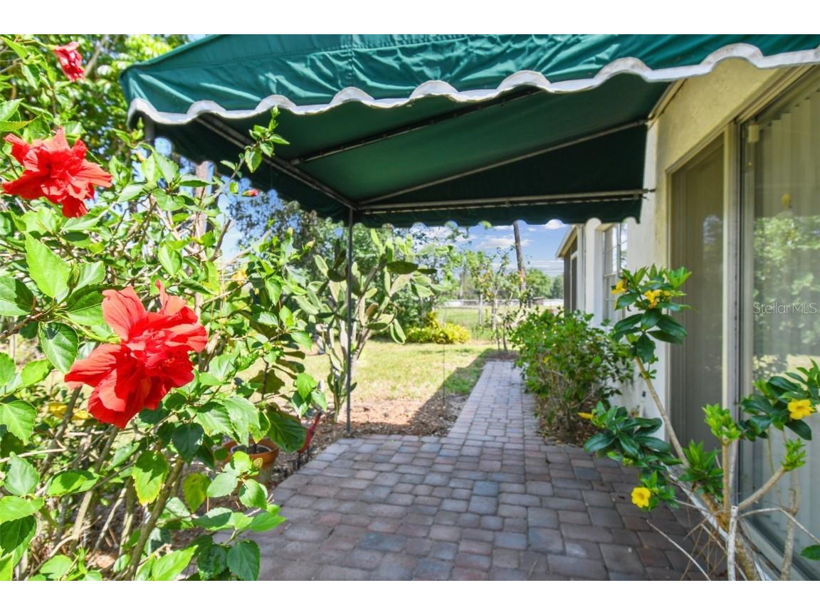 441 San Jose Drive Winter Haven FL 33884 P4934776 image33