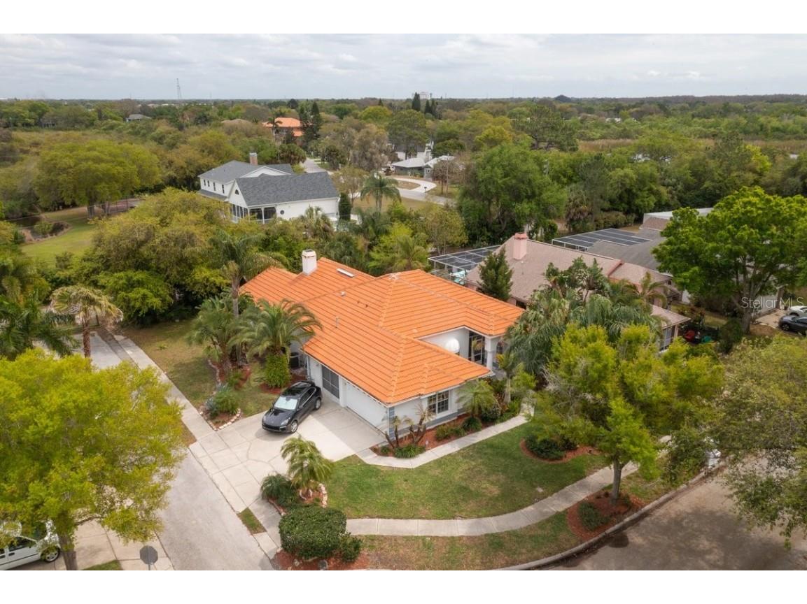 441 Village Drive Tarpon Springs FL 34689 U8155934 image1