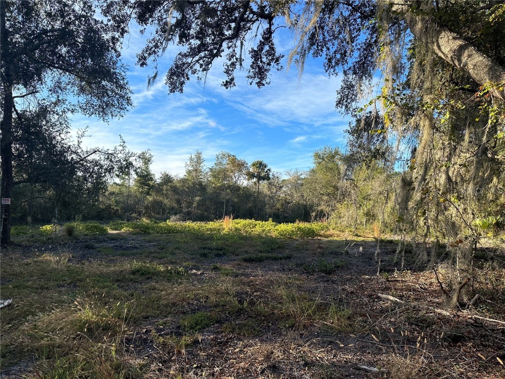 441 Wilburton Drive Deltona FL 32738 V4933578 image1