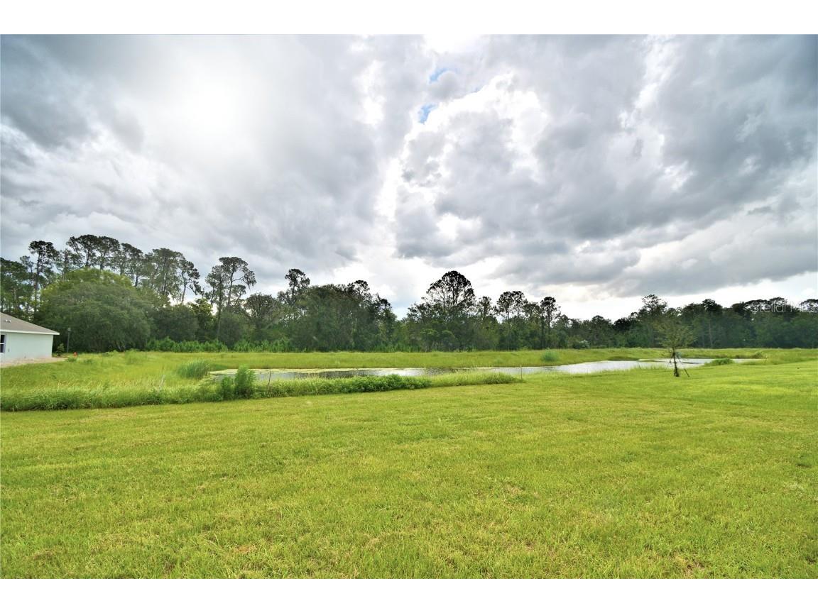 4410 Juneberry Drive Auburndale FL 33823 L4957696 image5